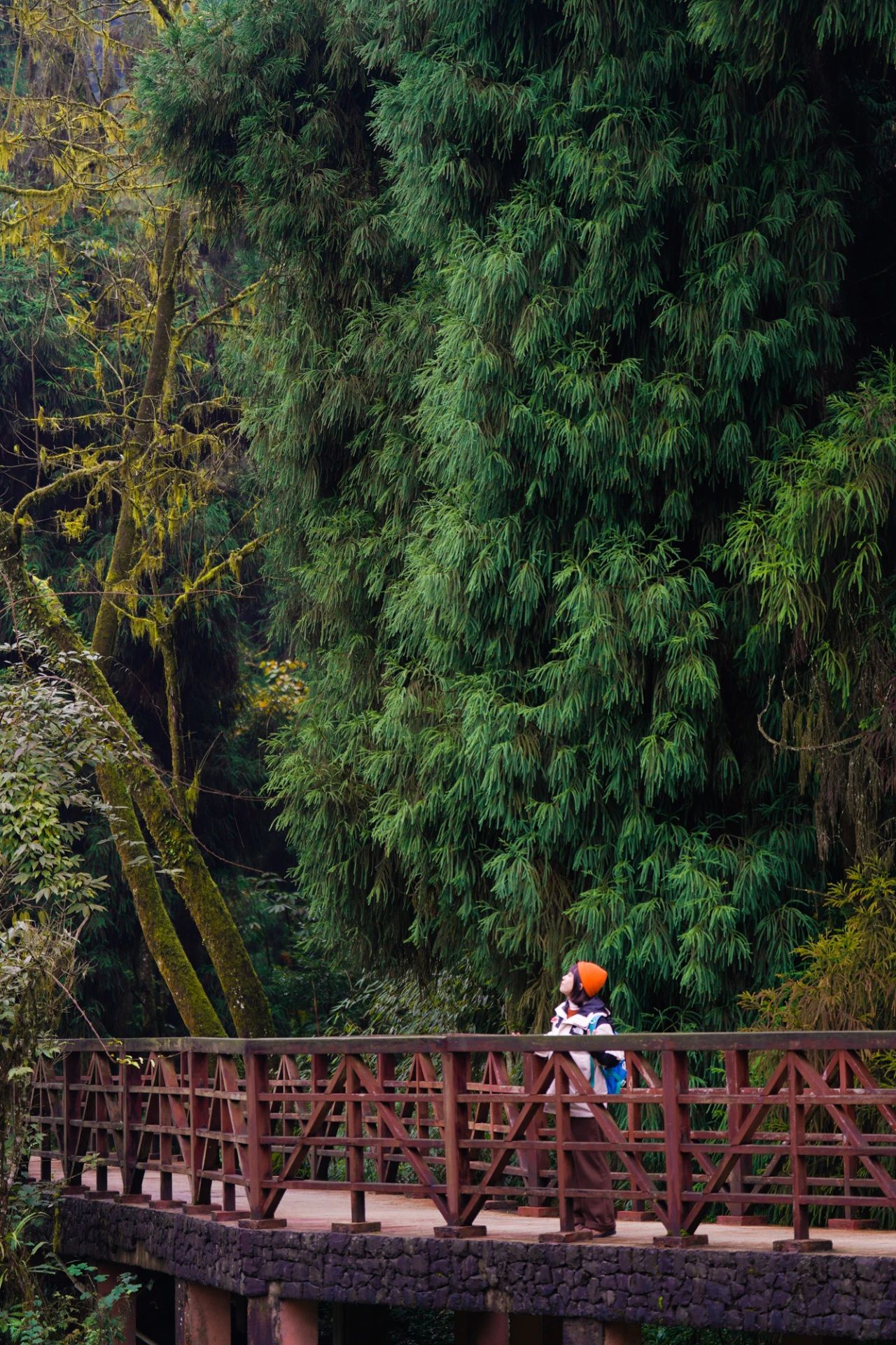 1704939229550591.jpg 微信图片_20240111100901.jpg