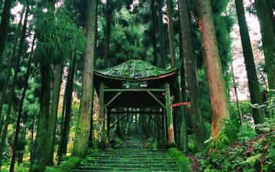 和尚衙门 和尚衙门