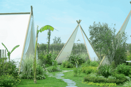 小众山水美如画!邛崃这几处超人气川西林盘,