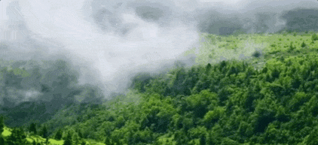 天府红谷 | 不负春色，住进山野诗意生活 ~