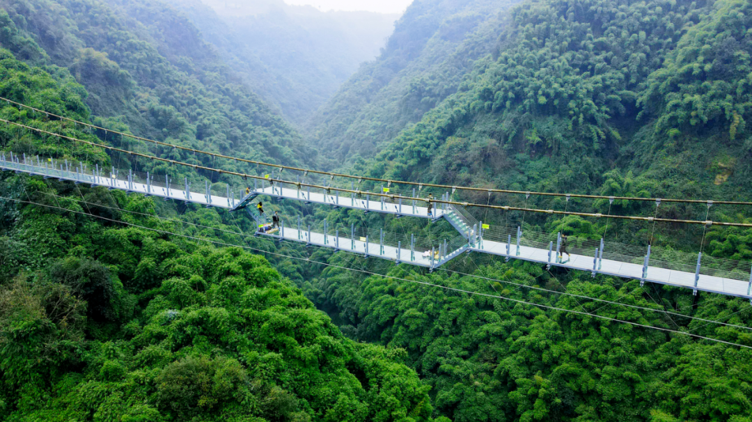 微信图片_20220706091311.png 微信图片_20220706091311.png