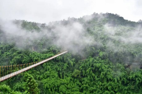 10万亩清幽竹海、超多趣味耍法、地道美食......周末全家去这儿超合适！