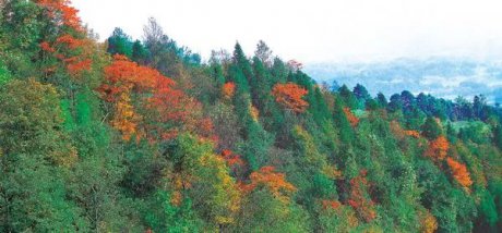 抓住秋天的尾巴,感受平乐古镇?天台山深秋之美~