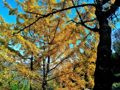 在天台山，邂逅初冬之美~