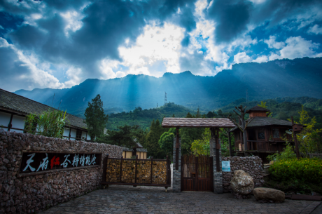 绝绝子！在天府红谷，惊艳时光，温柔岁月~