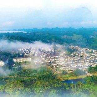 茶田竹海里,抚慰流年的人间烟火