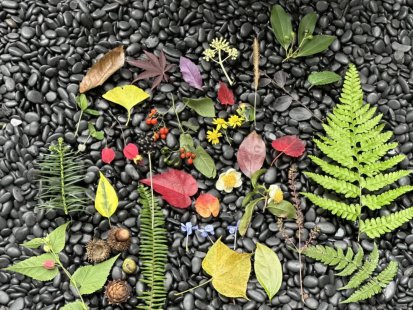 一幅美丽的乡村诗意长卷正在慢慢开启