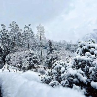 一念冬来,这个周末的天台山可能是这样