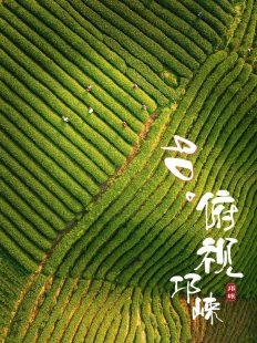 用90度的目光,让眼睛“上瘾”