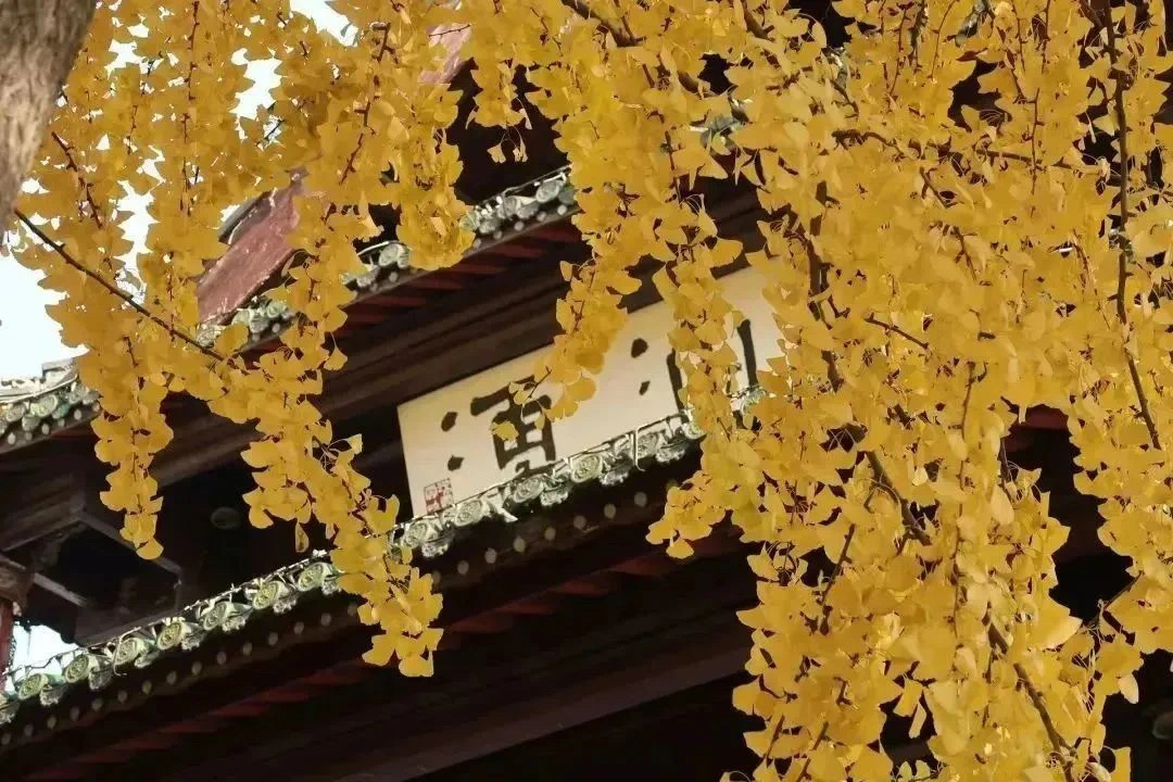 1695611550112880.jpg
