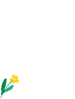 秋季限定美景,赏花,逛花市......邛崃的这些地点别错过!
