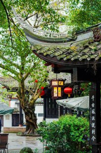 发呆吧!等一场秋天的雨